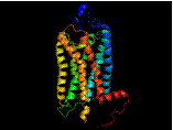 C:\Users\Public\Image Stuff\Molecules\rhodopsin.jpg